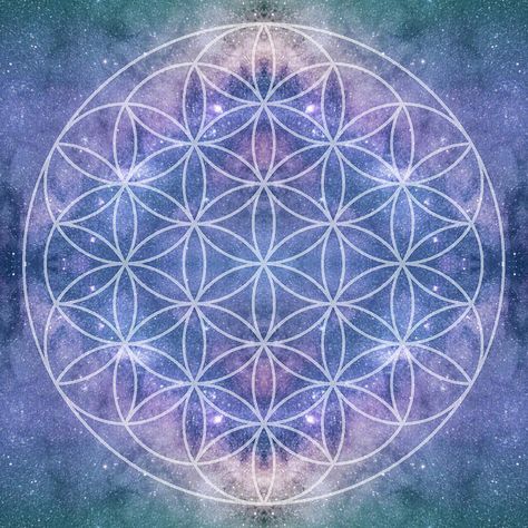 Scared Geometry, Sacred Geometry Flower Of Life, Symbol Wallpaper, Sacred Space Altar, Life Flower, Yoga Studio Design, Mandala Wallpaper, Flower Symbol, Art Articles