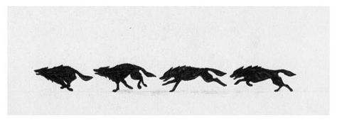 Wolf silhouette tattoo idea | Tattoo ideas | Pinterest Wolf Silhouette Tattoo, Wolves Drawing, Wolf Tattoo Meaning, Running Drawing, White Wolves, Running Tattoo, Tattoo Wolf, Wolf Running, Wolf Silhouette