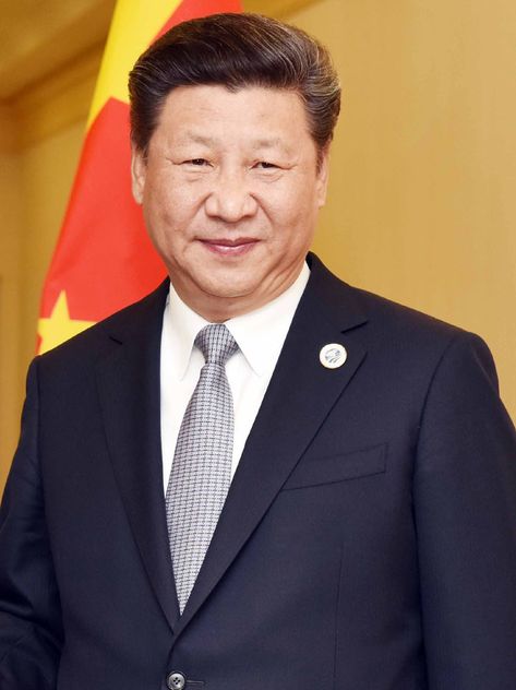 Xi Jinping - Wikipedia Xi Jinping, Luoyang, Zhengzhou, Fun Texts, Winnie The Pooh, New World, China