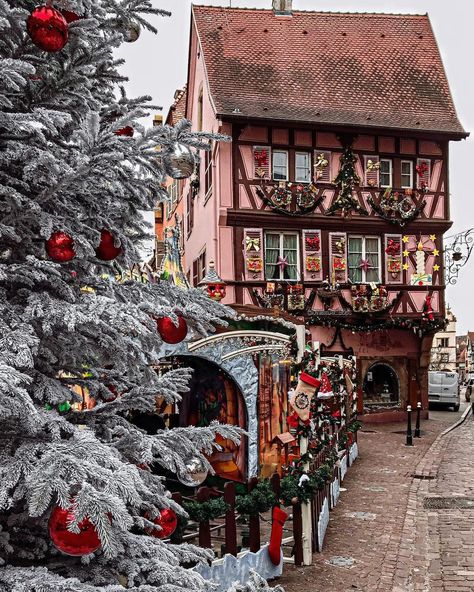 Amsterdam Christmas, Christmas Destinations, Christmas In Europe, Gulliver's Travels, Alsace France, France Photography, France Photos, Jolly Christmas, City Landscape