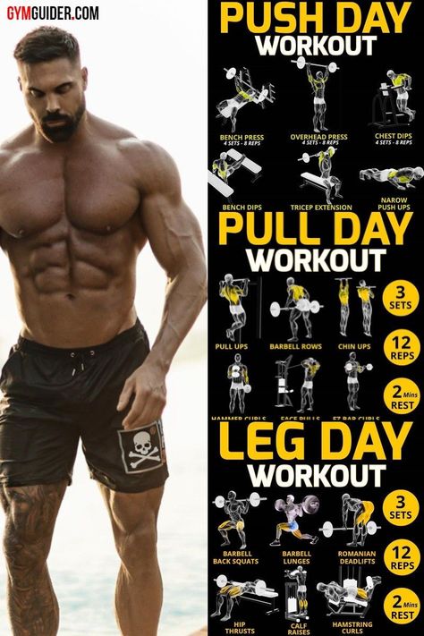 Pull Workout For Men, Push Pull Legs Workout Plan Men, Ppl Workout Routine, Leg Day Workout At The Gym, Push Pull Legs Routine, Push Pull Legs Workout, Leg Workout Plan, Split Workout, Push Day Workout