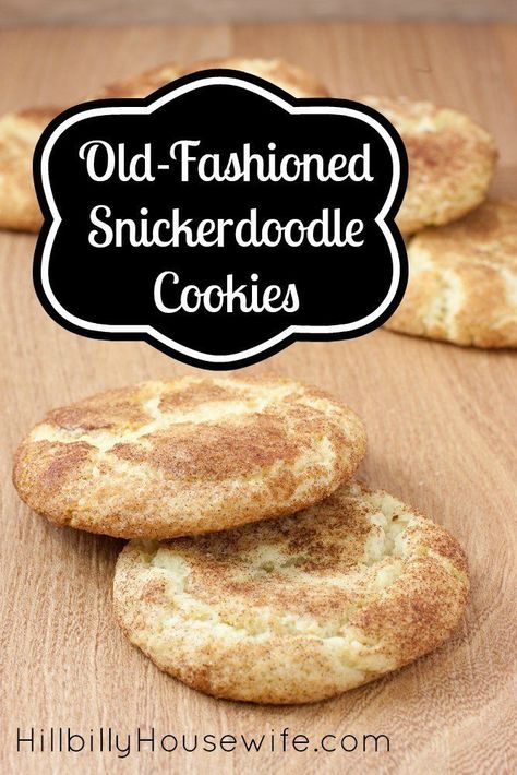 Doodle Cookies, Best Snickerdoodle Cookies, Snickerdoodles Recipe, Bake Christmas, Fruit Bars, Snickerdoodle Cookie, Snickerdoodle Recipe, Winter Cookie, Snickerdoodle Cookie Recipes