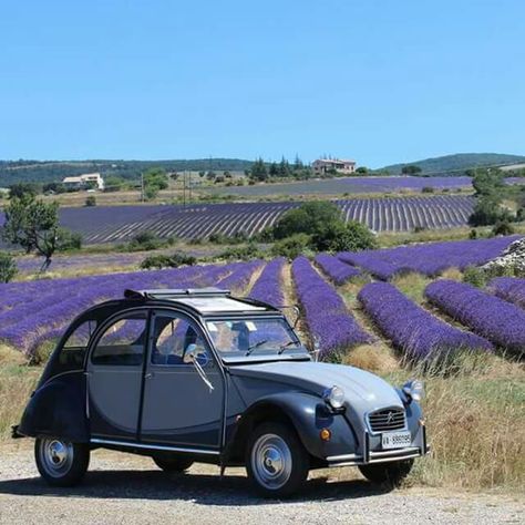 French Country Exterior, French Icons, Citroen Car, Veteran Car, Automobile Companies, Auto Retro, Old Car, Citroen Ds, Classic Cars Vintage