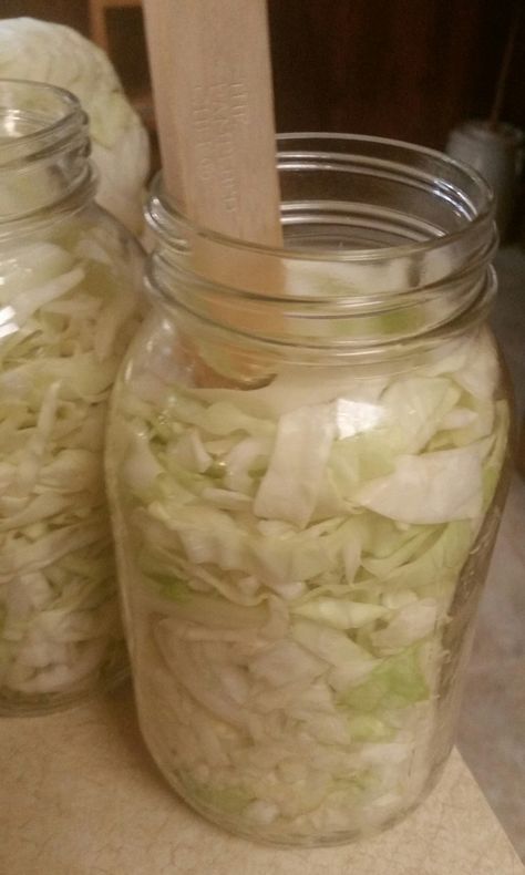 Canning Kraut In Jars, Cabbage Canning, Canned Cabbage, Canning Cabbage Recipes, Canning Sauerkraut, Canning Cabbage, Summer Canning, Freezing Recipes, Water Bath Canning Recipes