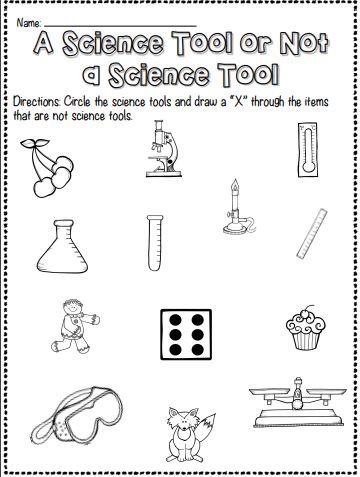 Science Tool or Not? Interactive Worksheet – Edform Science Tools Activities Preschool, Kindergarten Science Experiments Easy, What Is A Scientist Kindergarten, What Is A Scientist Activity, Science For Kids Worksheets, Science Tools Worksheet, Science Kindergarten Worksheets, Science Tools Activities, What Do Scientists Do