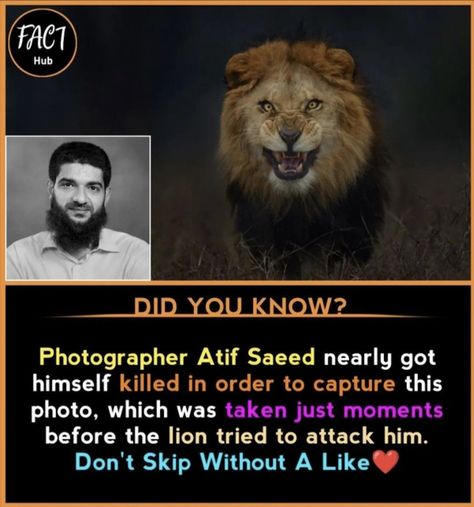 #facts Lion Pic, Mind Blowing Pictures, Psychological Facts Interesting, Biology Facts, Scary Facts, Brain Facts, True Interesting Facts, Interesting Facts About World, Cool Science Facts