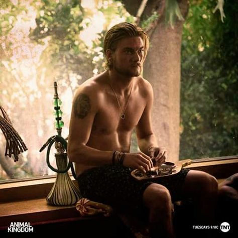 Animal kingdom TNT love this show! Deran Cody, Animal Kingdom Tv Show, Jake Weary, Animal Kingdom Tnt, Ben Robson, Teen Mom Og, Teen Mom 2, Trailer Park Boys, West Coast Fashion