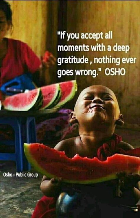 Bhagwan Quotes, Stoic Man, Buddhist Quote, Buddism Quotes, Osho Quotes On Life, Follow Quotes, Mystic Quotes, Philosophy Of Life, Imagination Quotes