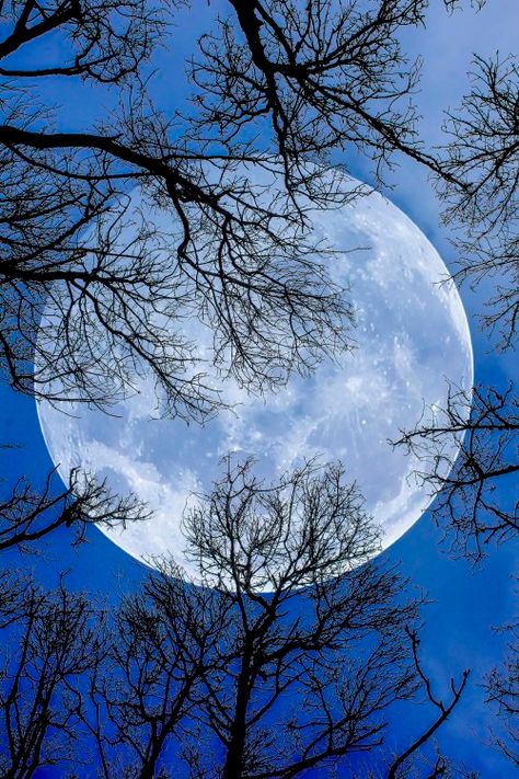 TARA DILLARD: Search results for beloved Shoot The Moon, Moon Moon, Moon Pictures, 수채화 그림, The Full Moon, Beautiful Moon, Over The Moon, Blue Moon, Stars And Moon