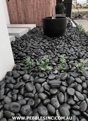 Black Polished Pebbles | Pebbles Inc Black River Rock Landscaping Front Yard, Mexican River Rock Landscaping, Black Pebble Landscaping, Landscaping Pebbles Stones, Black Garden Stones, Black Stone Landscaping, White Pebbles Landscape, Black Pebbles Landscape, Black Beach Pebble Landscaping