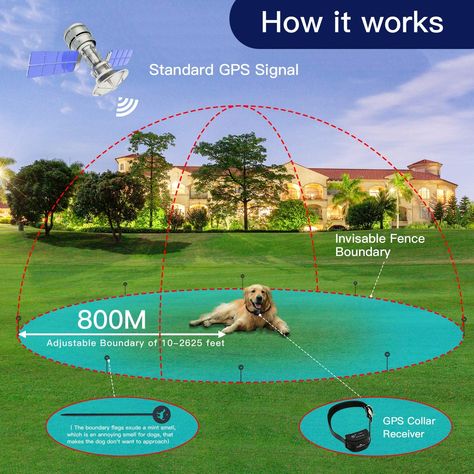 Invisible Dog Fence, Electric Dog Fence, Invisible Fence For Dogs, Electric Fence For Dogs, Invisible Fence, Garden Planning Layout, Wireless Dog Fence, Pet Fence, Multiple Dogs