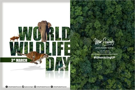 Wildlife Poster, Wildlife Design, World Wildlife Day, Advert Design, Wildlife Day, Real Estate Marketing Design, Banner Design Inspiration, Desain Editorial, Creative Advertising Design