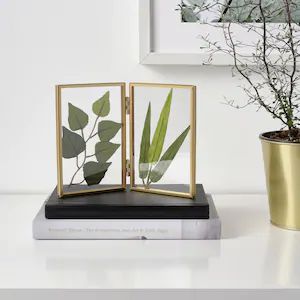 Picture Frames & Collage Photo Frame Sets - IKEA Signature Picture Frame, Artificial Potted Plants, Framed Photo Collage, Ikea Frames, Collage Picture Frames, Multi Photo, Frame Stand, Photo Picture Frames, Collage Frames