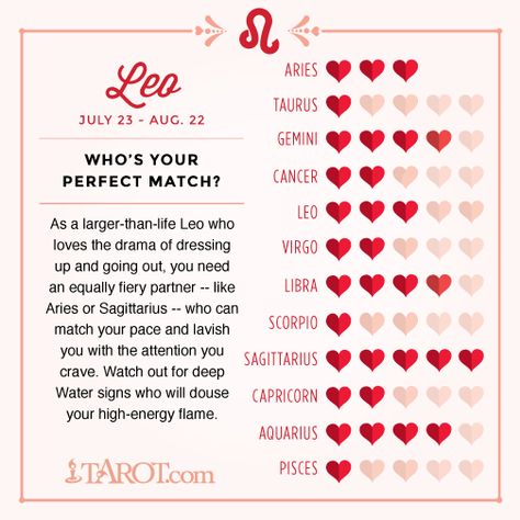 Love Compatibility for Your Zodiac Sign – Witches Of The Craft® Aries Love Compatibility, Horoscope Love Matches, Sagittarius Quotes, Sagittarius Love, Life Challenge, Zodiac Sign Love Compatibility, Aries Love, Leo And Sagittarius, Tarot Astrology