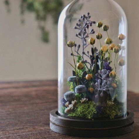 Cloche Decor, Glass Dome Cloche, نباتات منزلية, Flowers In Jars, Dried Flower Wreaths, Diy Jar Crafts, Glass Cloche, The Bell Jar, Dried Flower Bouquet