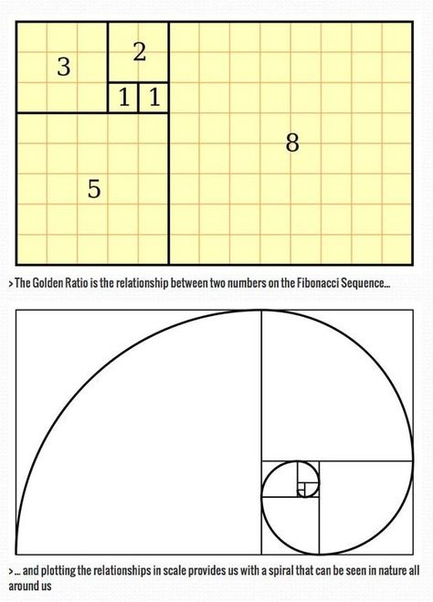 Golden Ratio Graphic Design, Golden Section, Poster Grafico, Golden Spiral, Fibonacci Sequence, Graphisches Design, Fibonacci Spiral, The Golden Ratio, Art Theory