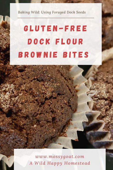 Delectable gluten-free dock flour brownie bites cooling on a rack Baking Brownies, Orange Pound Cake, Seasonal Baking, Kitchen Witch Recipes, Seed Recipes, Foraged Food, Gluten Free Brownies, Baking Recipe, No Bake Brownies