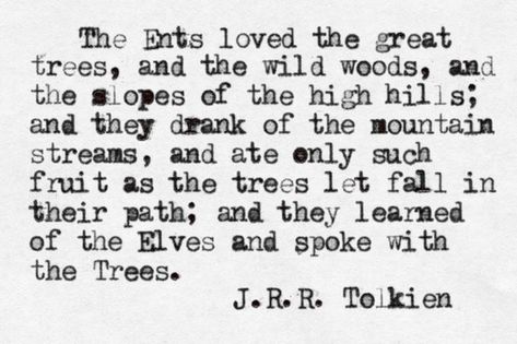 Tolkien Quotes, Into The West, J R R Tolkien, Quotes Words, Fellowship Of The Ring, Jrr Tolkien, Quotes Quotes, What I Want, Middle Earth