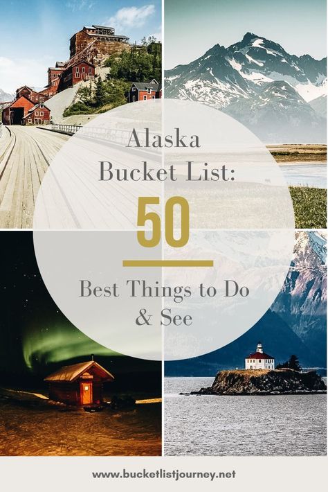 Alaska Things To Do, Alaska Bucket List, Alaska Railroad, Tongass National Forest, Kenai Fjords National Park, Glacier Bay National Park, Kenai Fjords, Alaskan Cruise, Holland America