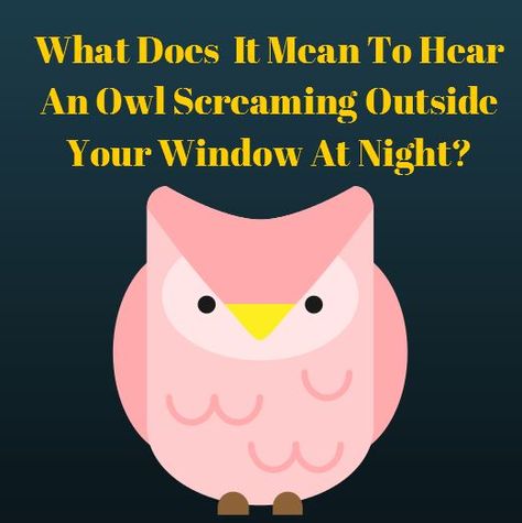 What Does It Mean To Hear An Owl Screaming Outside Your Window At Night? Picture this: 3am and I am awakened from a sound sleep by a strange sound. In fact, it sounded like a strange type of scre... Owl Screaming, Window At Night, Owl Sounds, Night Pictures, Night Owl, Sounds Like, Scream, At Night, The Outsiders