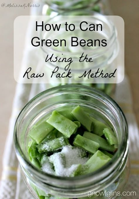 Gnowfglins | How to Pressure Can Green Beans (Raw Pack Method) | I'm all for saving time in the kitchen! No woman ever said, "I have way too much time on my hands these days." But in the interest of saving time, we can't sacrifice food safety. I consider some quick canning methods to be unsafe. Not the raw pack method, though -- it's both safe and time-saving. A win-win! | #prepbloggers #foodstorage #methods Pressure Can Green Beans, Canning Methods, Pressure Canning Green Beans, Canning Green Beans, Canning Veggies, Summer Canning, Diy Homesteading, Canning Fruit, Canning Ideas