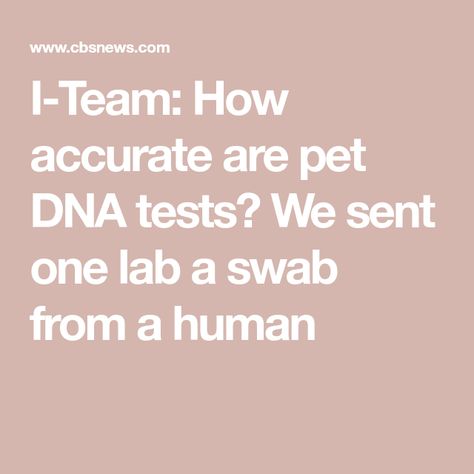 I-Team: How accurate are pet DNA tests? We sent one lab a swab from a human Dna Lab, Dog Dna Test, Three's Company, Harvard Medical School, Emmy Award, Dna Test, Medical School, How To Find Out, Lab