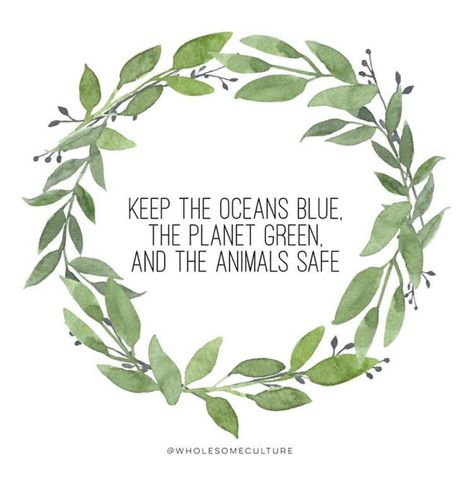 Original Creator: @WholesomeCulture Sustainability Quotes, Save Planet Earth, Earth Quotes, Save Environment, Save Our Earth, Love The Earth, Save Earth, Together We Can, The Animals