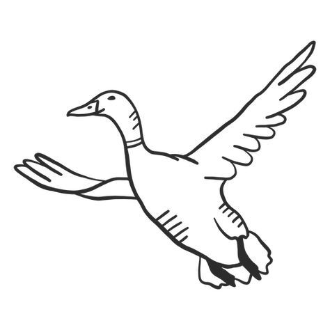 Duck drake wild duck beak wing flying doodle #AD , #ad, #spon, #wild, #drake, #flying, #duck Flying Duck Illustration, Duck Outline, Duck Beak, Fly Drawing, Flying Duck, Bird Png, Duck Illustration, Duck Drawing, Doodle Png