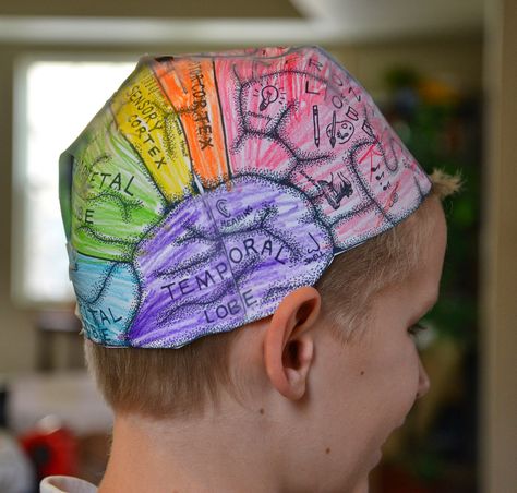 We loved making this brain hat  while we talked about parts of the brain! It just shows the functions of the cortex (we covered internal ... Brain Hat, Brain Models, Human Body Activities, Human Body Unit, Kid Experiments, Science Projects For Kids, Homeschool Science, Science Experiments Kids, Science Classroom