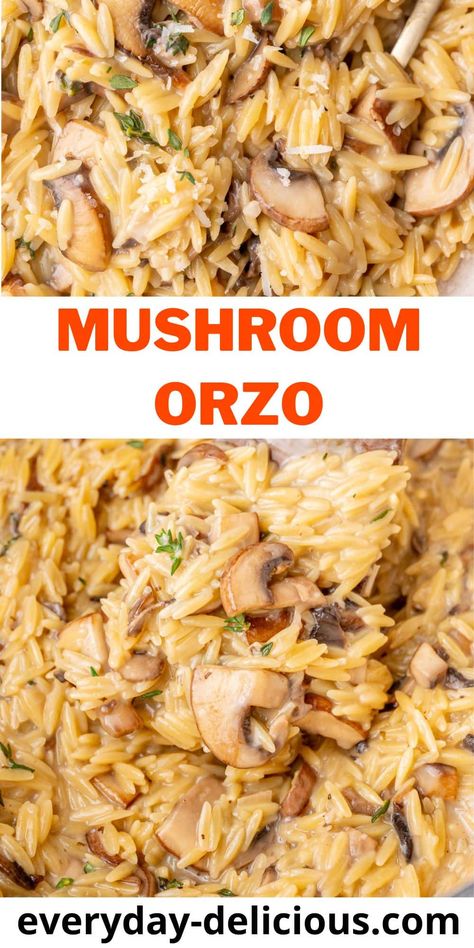 Mushroom orzo is a flavorful dish made with orzo pasta with sautéed mushrooms, garlic, onions, herbs, and parmesan cheese. Creamy and cheesy orzo pairs perfectly with mushrooms creating a comforting and delicious meal. It makes a wonderful side dish or even a vegetarian main dish. Vegetarian Orzo, Mushroom Orzo, Cheesy Orzo, Easy Mushroom Recipes, Vegetarian Main Dish, White Wine Recipes, Sautéed Mushrooms, Orzo Recipes, Meatless Monday Recipes