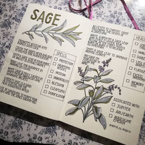 World of Magick on Instagram: “Sage brings good luck and promotes emotional strength. It is associated with wisdom, protection and offers guidance when making decisions 🤔…” Green Witchcraft, Magia Das Ervas, Plant Journal, Spiritual Journals, Grimoire Book, Wiccan Spell Book, Witchcraft Spell Books, Emotional Strength, Witch Spell Book