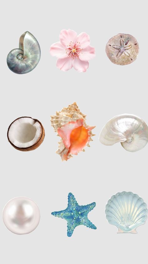 Invisible Background, Aesthetic Pngs, Siren Core, Summer Board, Graphic Shirt Design, Beachy Aesthetic, Stickers Vintage, Cute Summer Wallpapers, Instagram Highlight Covers