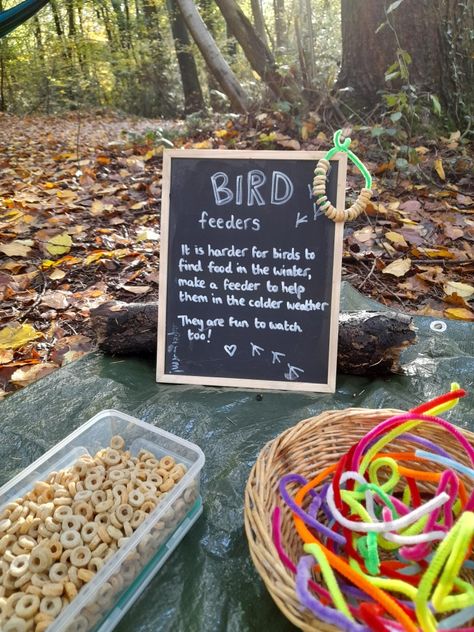 Outdoor Enhancements Eyfs, Curiosity Approach Invitations To Play, Simple Forest School Activities, Outdoor Writing Activities, Eyfs Nature Activities, Forest School Sensory Activities, Forest School Provocations, Eyfs Outside Provision, Year 2 Outdoor Provision