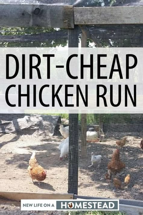 You can make your own chicken run out of dirt-cheap materials, some of which are probably lying around your back yard right now. Photos and videos included. #nloah #chickens #chickenrun #diy Farm Baby Nursery, Diy Chicken Run Cheap, Building A Chicken Run, Chicken Enclosure, Farm Landscaping, Chicken Coop Blueprints, Chicken Aesthetic, Cheap Chicken Coops, Chicken Fence