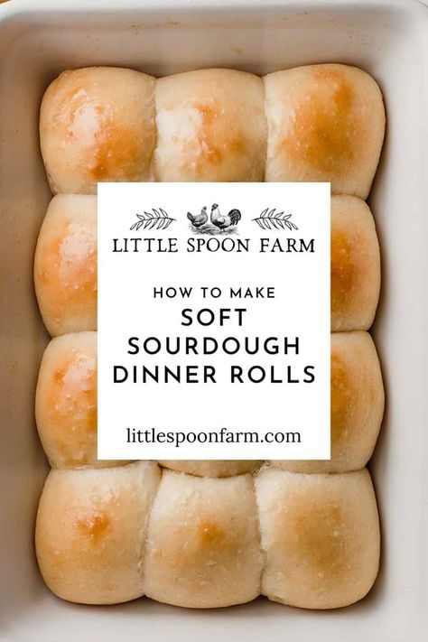 Soft sourdough dinner rolls are everything you ever dreamed of! These amazing, pull-apart style dinner rolls are soft and fluffy with just a touch of sweetness. You won't believe how easy they are to make! Rolls For Dinner, Frugal Pantry, Dough Starter Recipe, Sourdough Dinner, Sourdough Dinner Rolls, Homestead Diy, Recipe Using Sourdough Starter, Sourdough Rolls, Discard Recipe