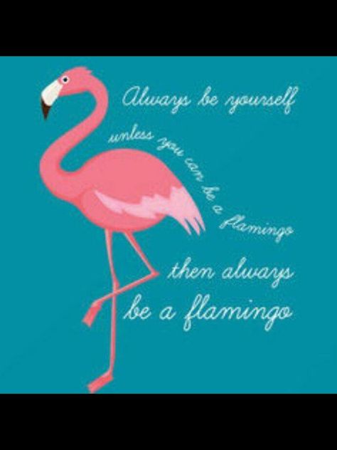 flamingo quote saying - always be yourself unless you can be a flamingo - then always be a flamingo Flamingo Quotes Inspiration, Flamingo Sayings, Flamingo Quotes, Flamingos Quote, Diy Flamingo, Shadow Box Ideas, Be A Flamingo, Pink Flamingo Party, Fancy Flamingo