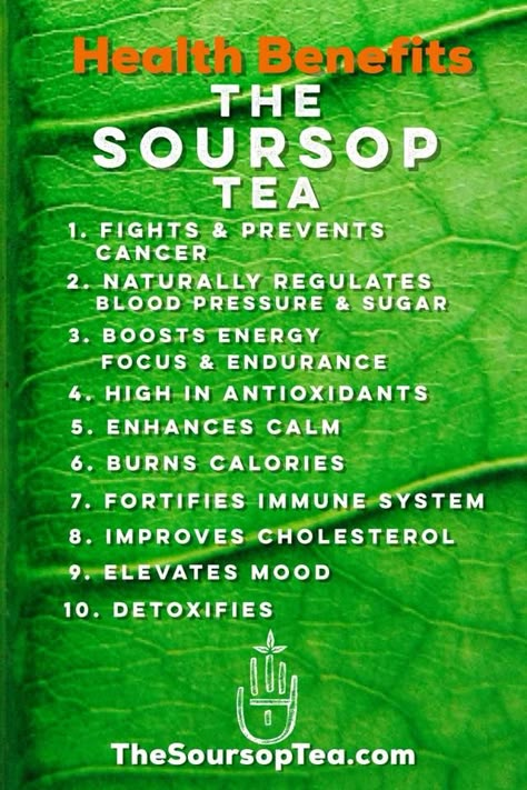 Soursop is usually found in South America and often the basis for beverages, ice creams and other popular sweet foods. It’s known to have a few other names, such as graviola, custard apple, paw paw, guyabano and guanabana in Spanish-speaking countries. Additionally, it has superfruit-healing properties as a high-antioxidant food due to its vitamin C, B vitamins, calcium, phosphorous and even some iron that it contains. These vitamins and minerals are why soursop benefits include potentially help Soursop Benefits, Soursop Tea, Benefits Of Spirulina, Tomato Nutrition, Calendula Benefits, Fruit Health Benefits, Healthy Woman, Lemon Benefits, Coconut Health Benefits