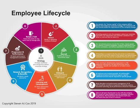 Diversity And Inclusion, Corporate Strategy, Executive Leadership, 21st Century Skills, Staff Training, Leadership Training, Recruitment Agencies, Learning And Development, Life Cycle