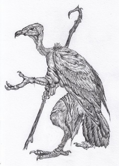 Vulture Tattoo, Hybrid Art, Dark Sun, Arte Alien, Fantasy Artist, Animal Sketches, Still Life Art, Tattoo Design Drawings, Animal Tattoos