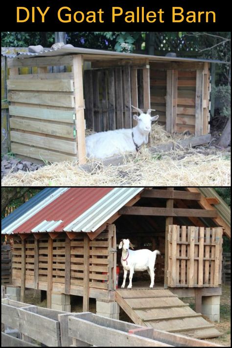 Goat Shelter Out Of Pallets, Goat Homes Ideas, Farm Pens, Goat Home, Goat Herder, Goat Playground, Goat Shed, Livestock Shelter, Goat Shelter