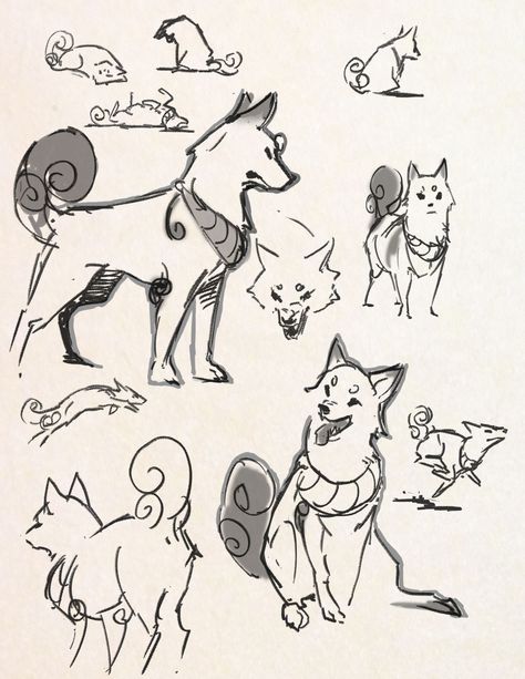 designing a shiba dog character missing my doggy so much… Anime Dog Sketch, Dog Sketch Reference, Person And Dog Drawing, Chibi Dog Poses, Dog Drawing Anime, Dog Bases Drawing, Puppy Poses Drawing, Dog Sketch Cartoon, Dog Reference Drawing