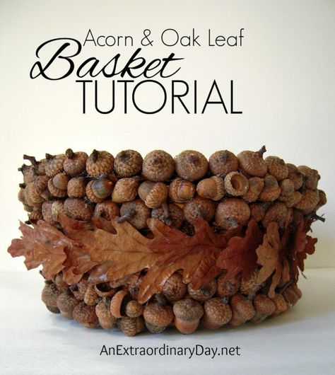 Acorn and Oak Leaf Basket Tutorial from AnExtraordinaryDay.net What To Do With Acorns, Acorn Diy, Acorn Basket, Acorn Craft, Pinecone Art, Acorn Art, Acorn Painting, Seed Craft, Birch Bark Baskets