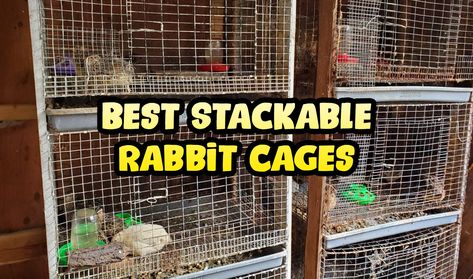 Rabbit Breeding Cage Setup, Rabbit Set Up Indoor Free Roam, Stackable Rabbit Cages, Rabbit Breeding Cages, Wire Rabbit Cages, Diy Rabbit Cage, Giant Flemish Rabbit Cage, Clearly Loved Pets Rabbit, Large Rabbits