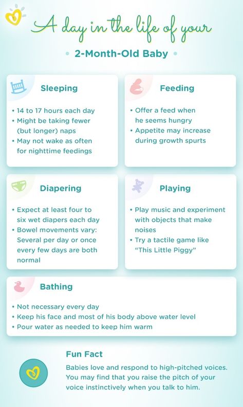 Baby Development Milestones, 2 Month Old Baby, 9 Month Old Baby, Development Milestones, Newborn Schedule, Baby Life Hacks, Baby Drinks, Baby Talk, Baby Development