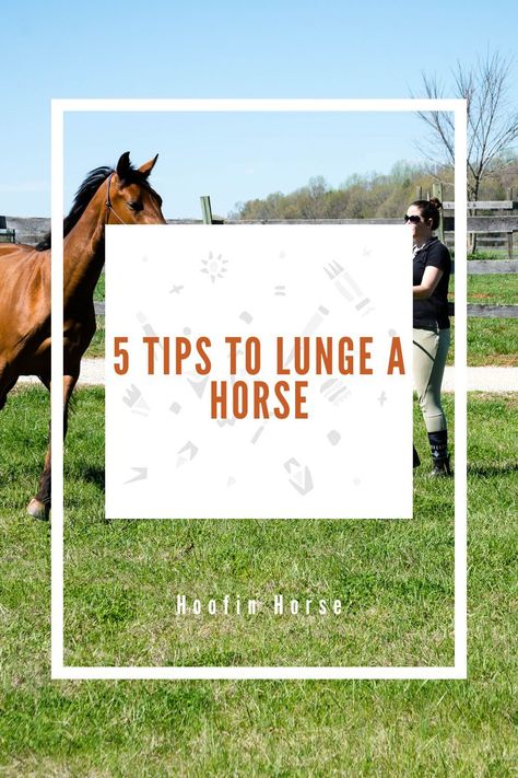 Once you have a horse, it goes without question that animal requires your time, energy, and dedication. Proper nutrition, living conditions, and a stress-free environment are crucial for equine well-being, but so is regular physical activity. https://www.hoofinhorse.com/5-tips-to-lunge-a-horse/ Horse Guide, Lunging Exercises For Horses, How To Put Weight On A Horse, How To Lunge A Horse, Holistic Horse Care, Horse Grooming Kit, Horse Riding Pants, Horse Riding Shirt, Horse Riding Helmets