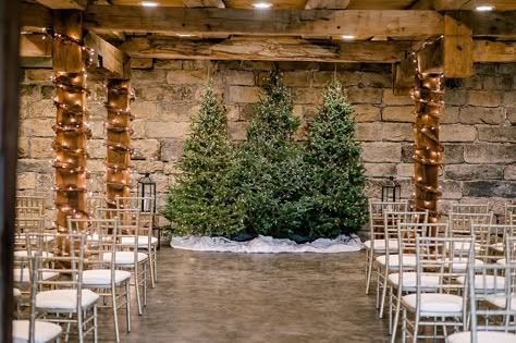 Christmas Wedding Arbor Ideas, Winter Wedding Background, Christmas Tree Backdrop For Wedding, Christmas Wedding Alter, Evergreen Wedding Arch, Christmas Trees Wedding, Christmas Wedding Ceremony Backdrop, Winter Wedding Backdrop Ideas, Christmas Trees At Wedding