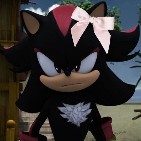 Shadow Icons, Shadow Sonic, Swag Pics, Sonic Funny, Sonic Franchise, 13k Followers, Sonic And Shadow, Sonic Boom, Sonic Fan Art