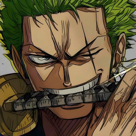 High Quality Pfp, One Piece Stuff, Quality Pfp, Zoro Icons, One Piece Aesthetic, رورونوا زورو, Famous Pictures, Zoro Nami, Anime Drawing Books