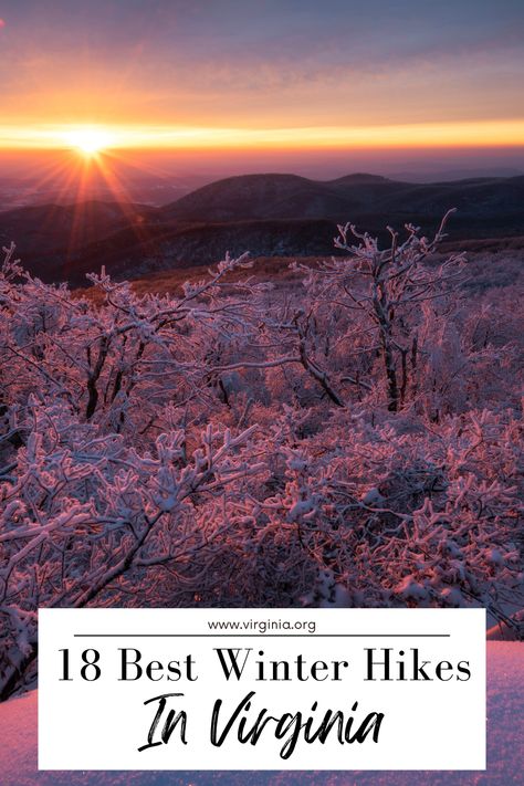 Experience the unique beauty of Virginia's hiking trails in winter, perfect for fulfilling New Year's resolutions or enjoying scenic views without the crowds. These trails offer a year-round adventure, revealing Virginia's natural splendor in a tranquil, wintery setting. Best Hikes In Virginia, Hikes In Virginia, Luray Virginia, Hiking Winter, Forest Walk, Bike Trail, Largest Waterfall, Virginia Is For Lovers, Roanoke Va