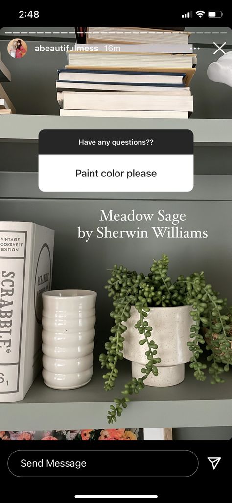 Sherwin Williams Meadow Sage, Meadow Sage Sherwin Williams, Painting Ideas For Home, Meadow Sage, Paint Color Schemes, Neutral Paint Colors, Favorite Paint Colors, Paint Color Palettes, Sherwin Williams Paint Colors